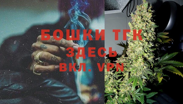 твердый Майский